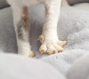 ComfyBloom™ Honden- en kattenmand | 40% korting