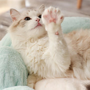 ComfyBloom™ Honden- en kattenmand | 40% korting