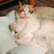 ComfyBloom™ Honden- en kattenmand | 40% korting