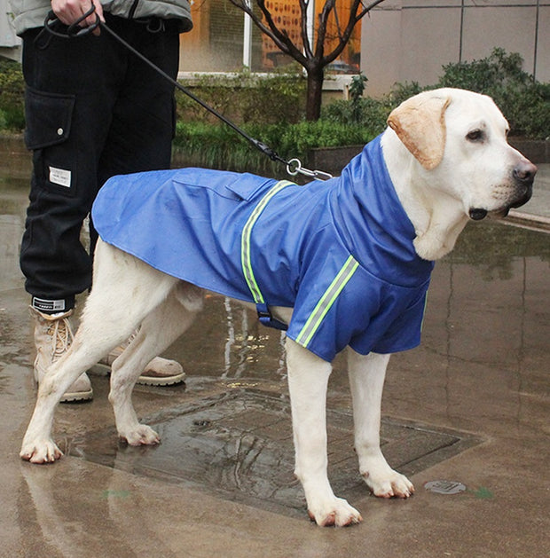 BarkBrella™ Regenmantel | 40 % Rabatt