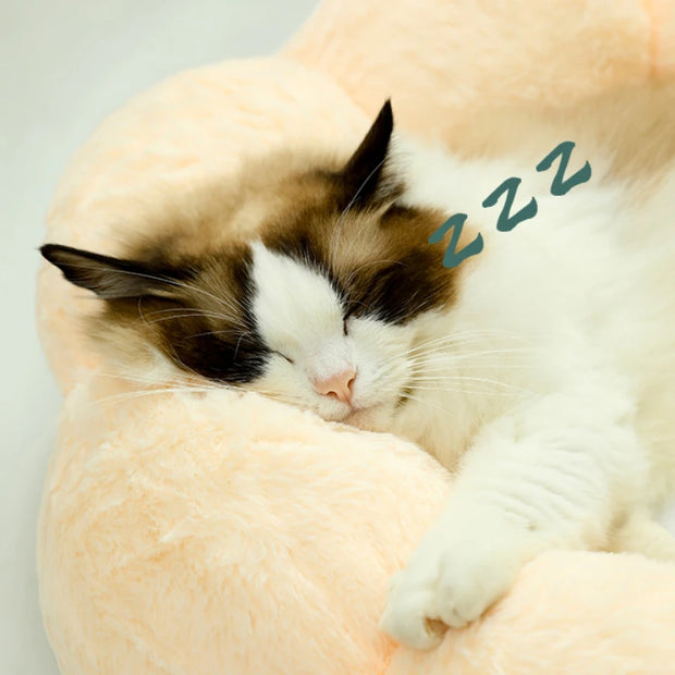 ComfyBloom™ Honden- en kattenmand | 40% korting